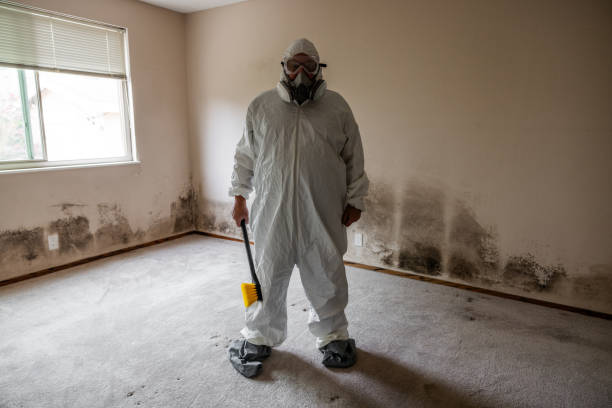 Best Mold Testing  in Hidalgo, TX
